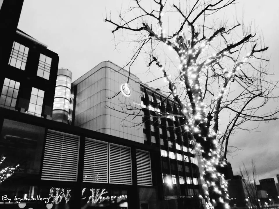 InShot_20191206_073514840.jpg