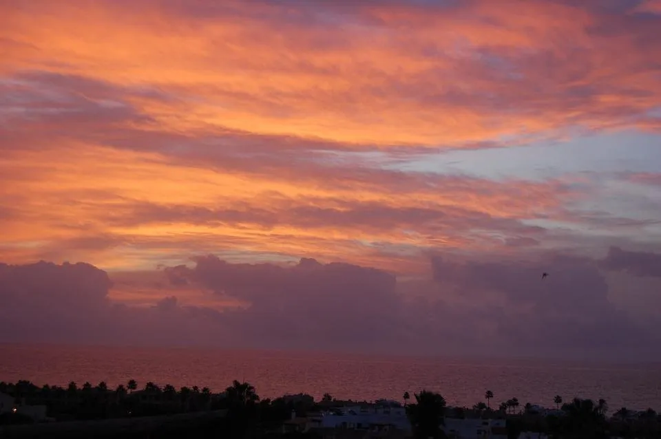 DSC_0244.JPG