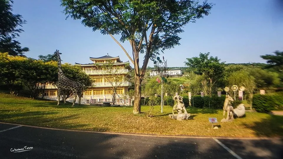 budda06.jpg