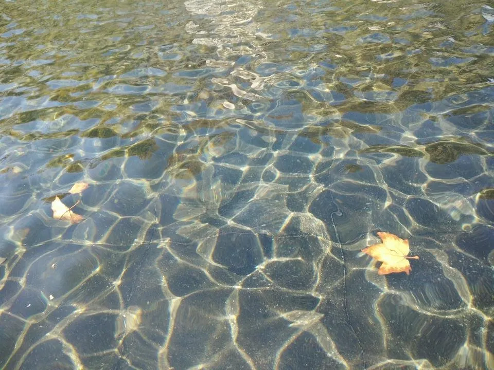 IMG20181027103413.jpg