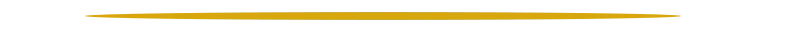 linea5-n.png