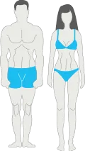 mesomorph.png