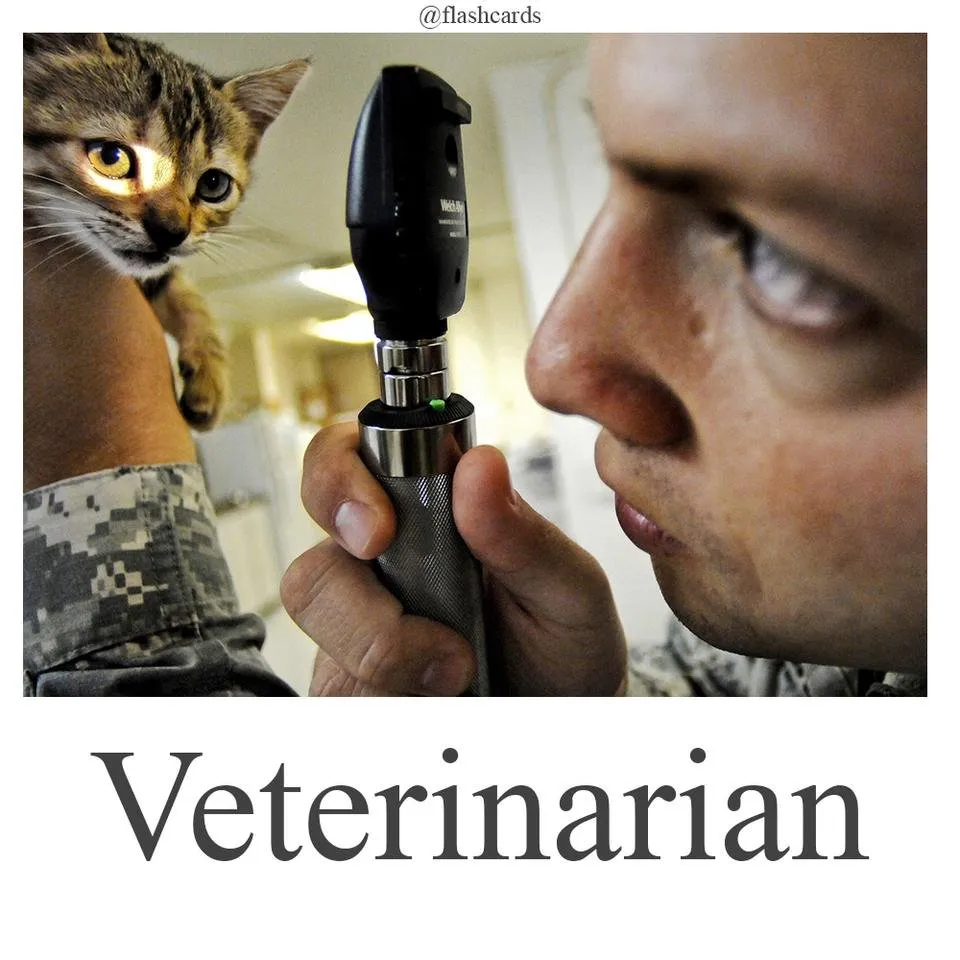 Veterinarian.jpg
