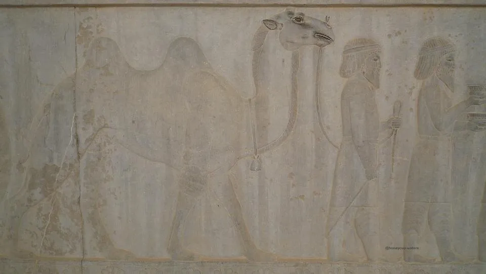 wall section 7.jpg