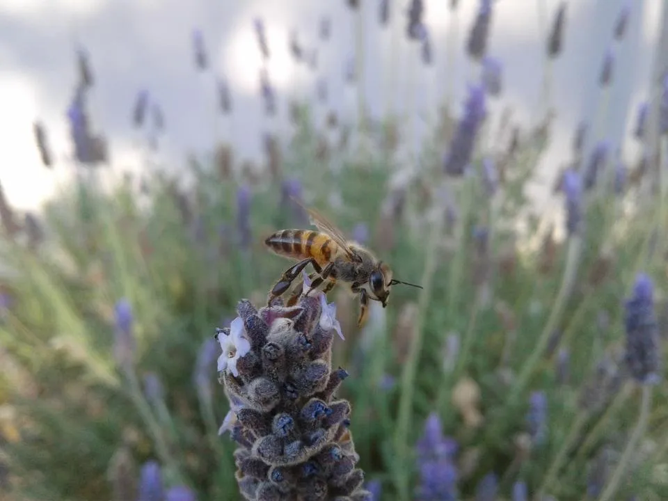 20190716_155634.jpg
