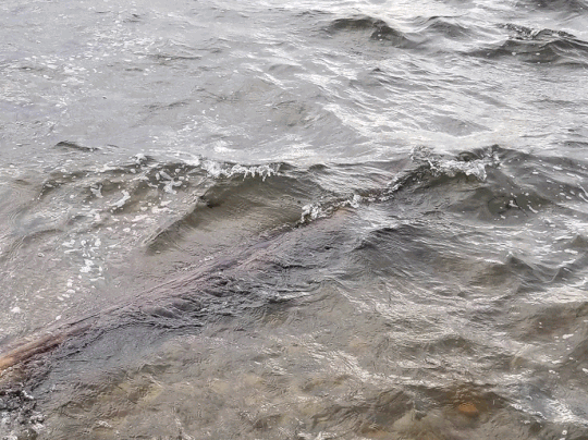 20190331_192450-ANIMATION.gif
