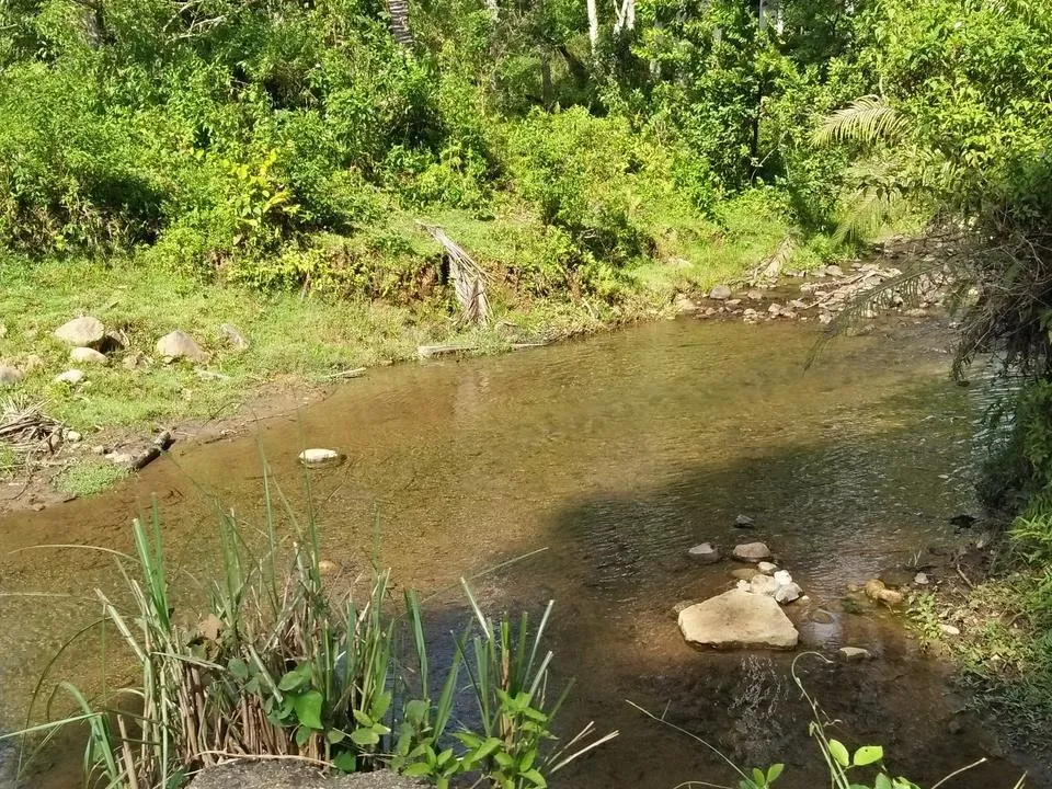 IMG20180718084417.jpg