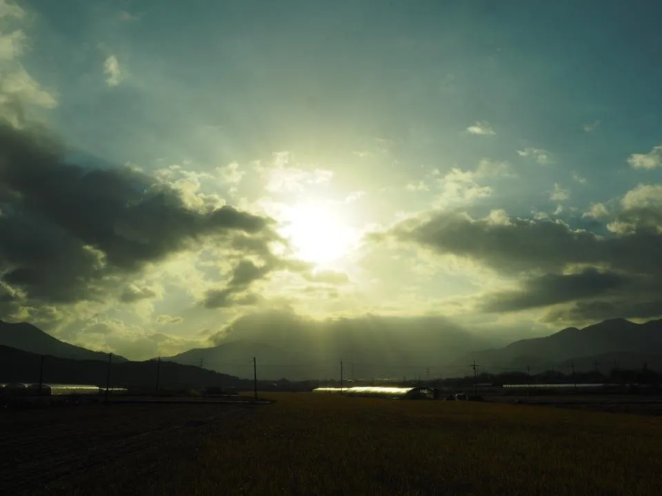 _A270482.JPG