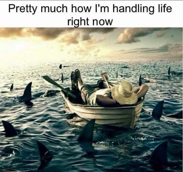 10153769630067611.jpg