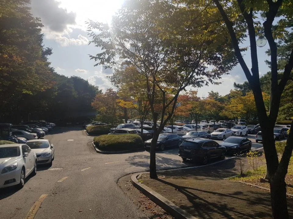 20191015_152218.jpg