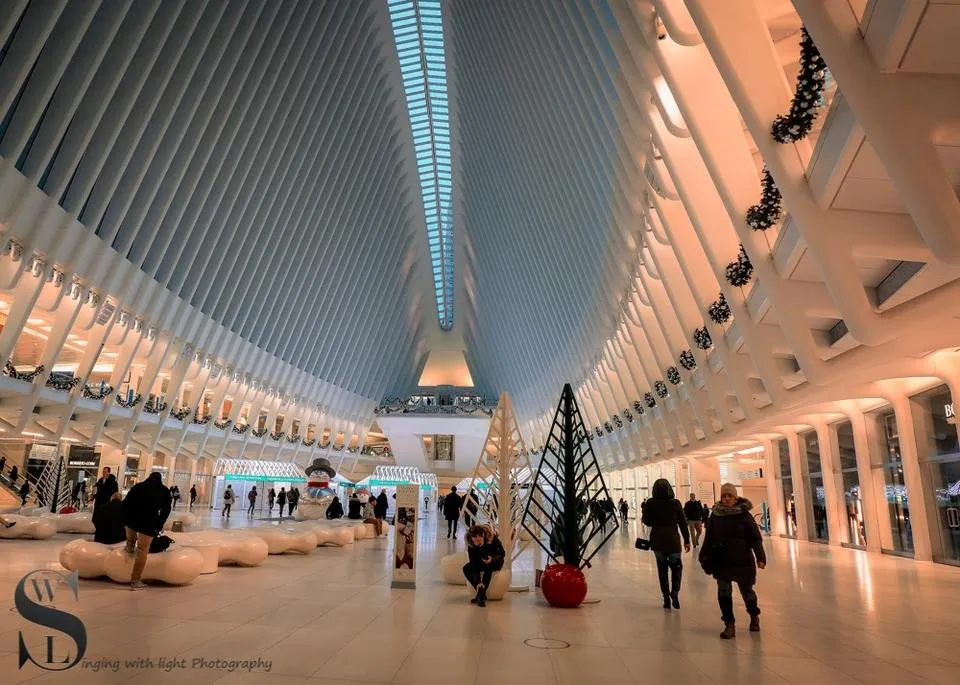 1 Inside the occulus-3.jpg