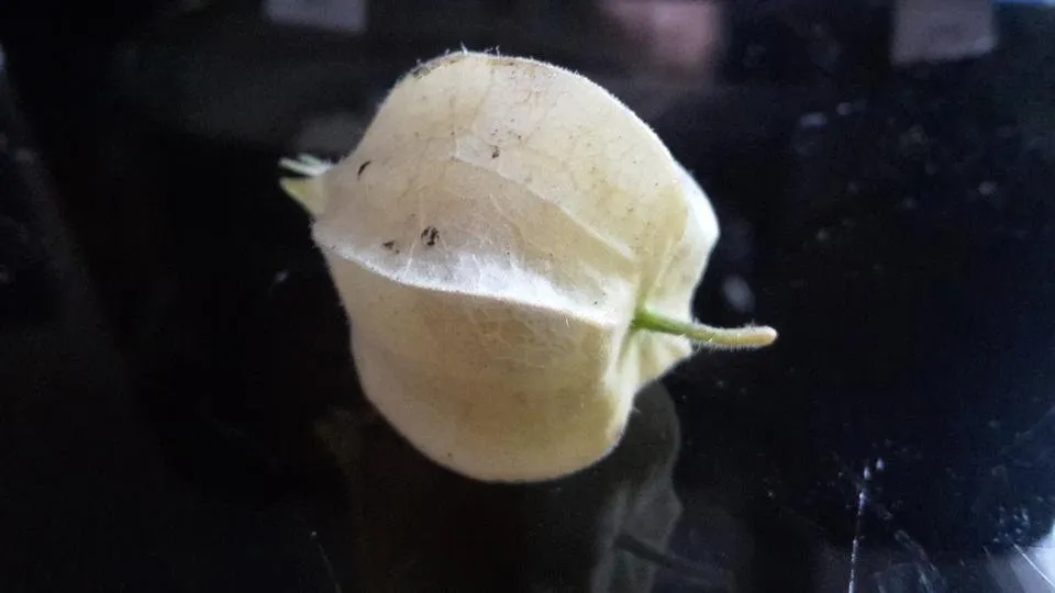 20181024_140100.jpg