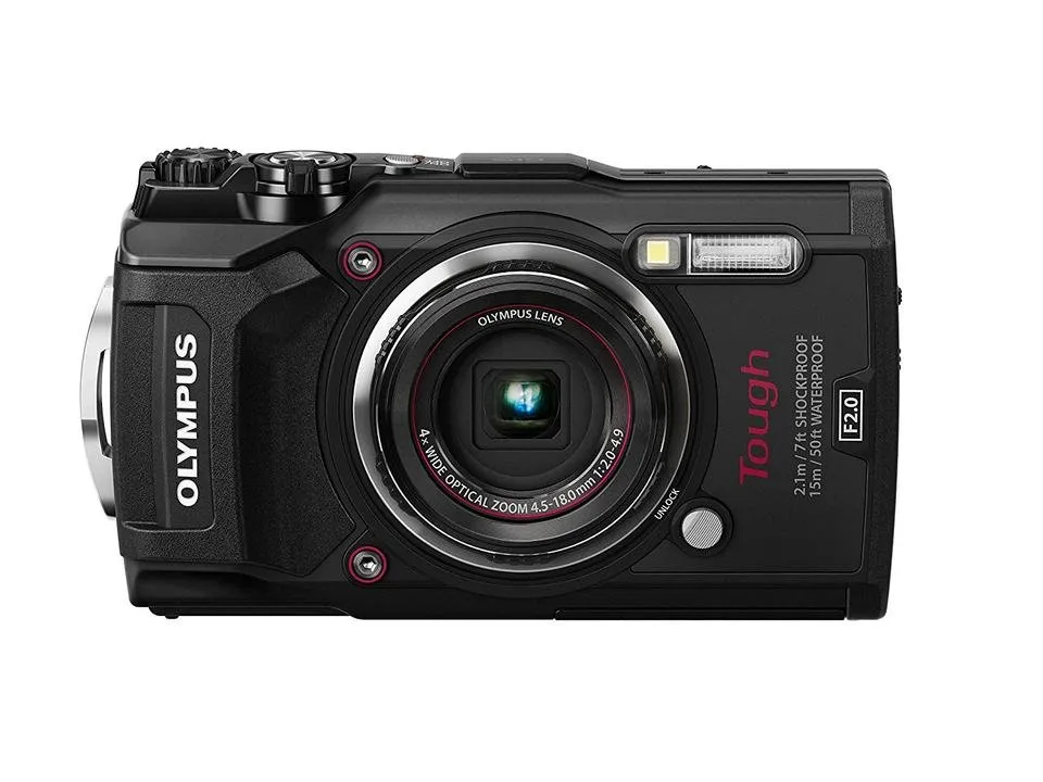 91b0ElxpPIL._SL1500_.jpg