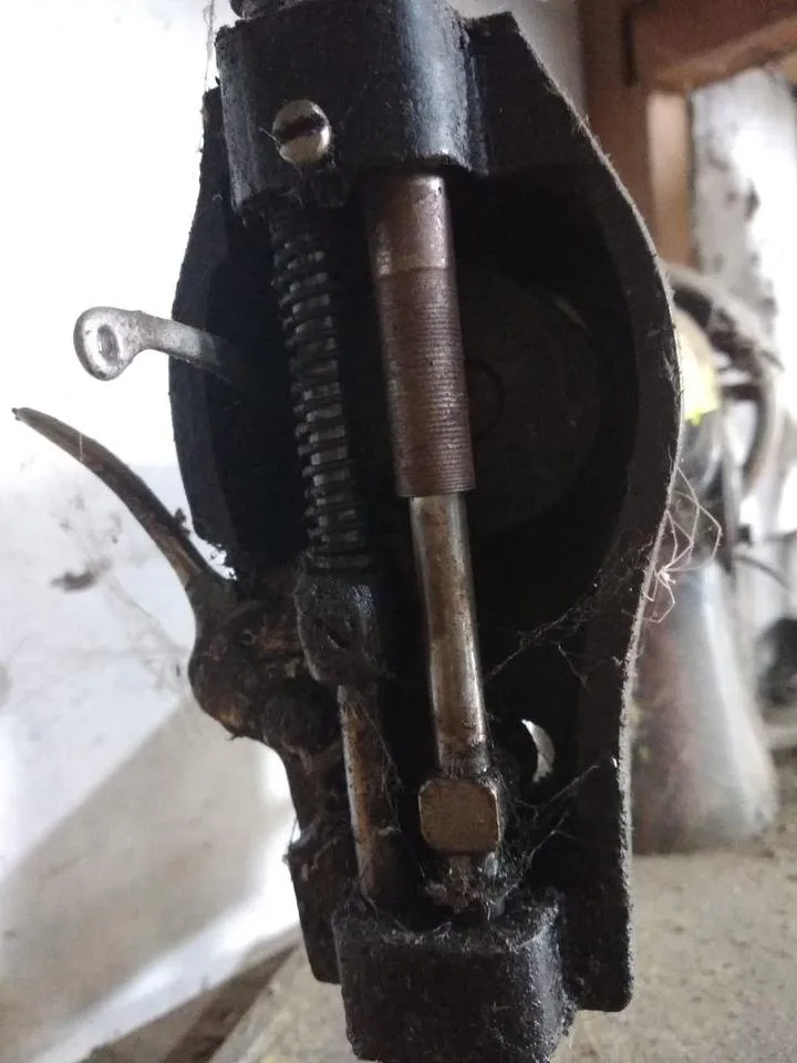IMG-20190621-WA0018.jpg