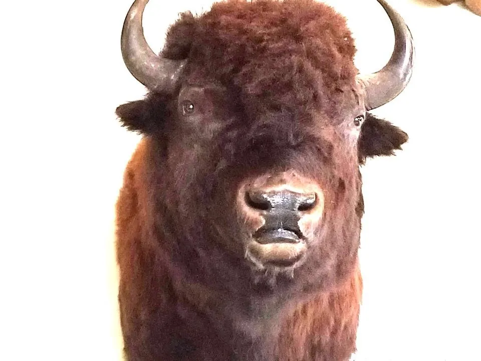 20190327_181851.jpg