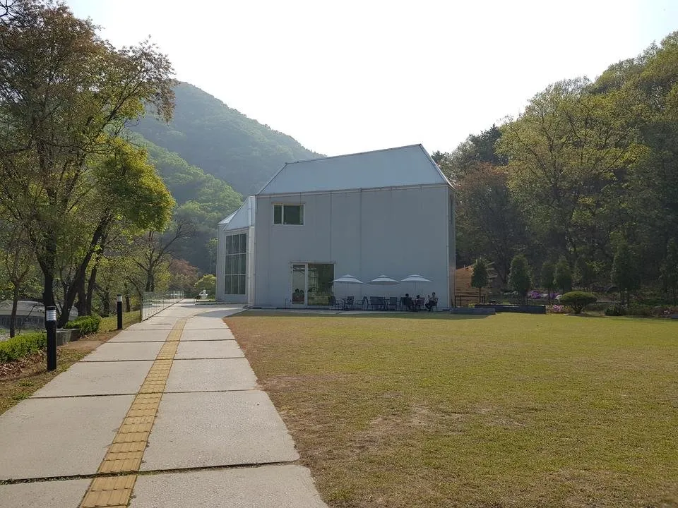 20190501_161747.jpg