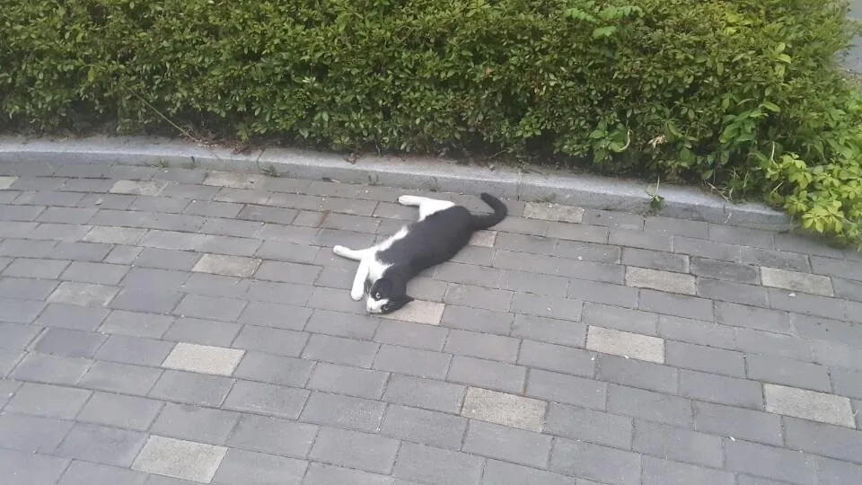 KakaoTalk_20180803_211639383.jpg