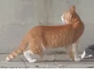 돌압는.png