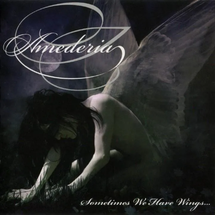 Amederia - Sometimes We Have Wings.jpg