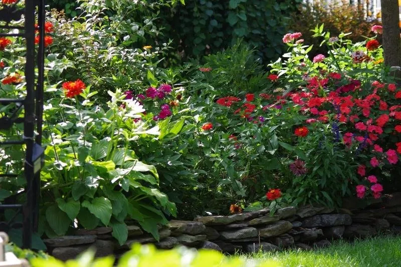 a butterfly garden e.jpg