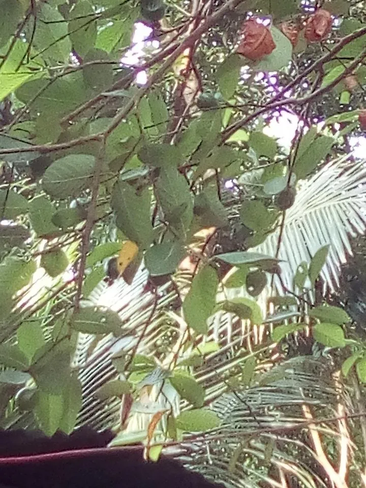 IMG_20180601_082813.jpg