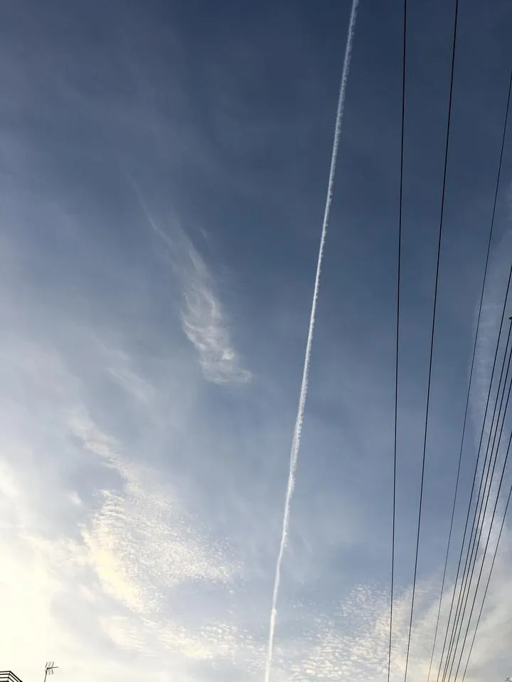 3169787F-895C-4147-AEF9-849DF43D5177.jpeg