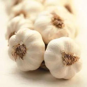 garlic 1.jpg