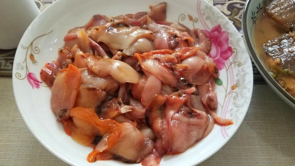 赤背.jpg
