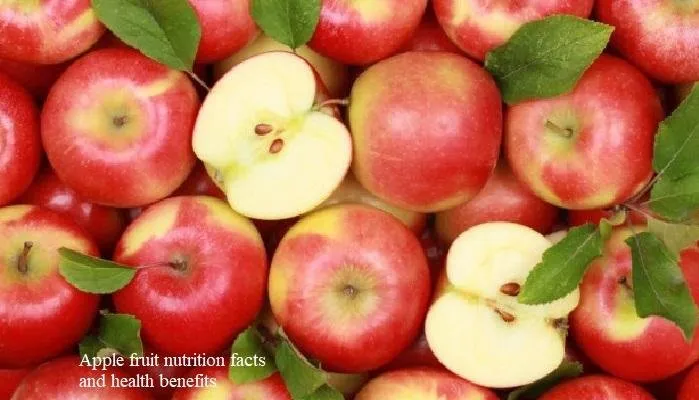 Apple fruit nutrition facts and health benefits.jpg