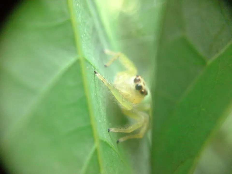 20180608_143341.jpg
