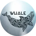 whale_mirror_33.png