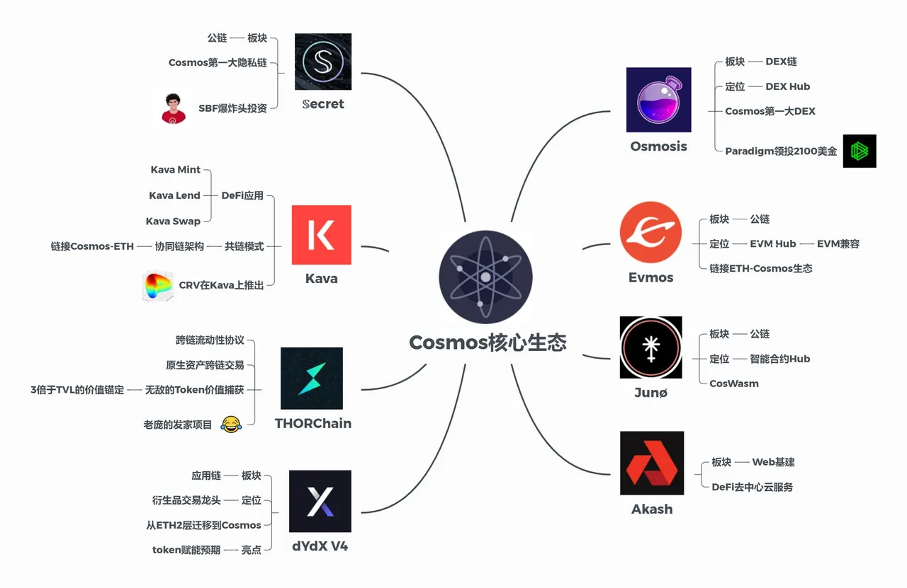 cosmos.jpg