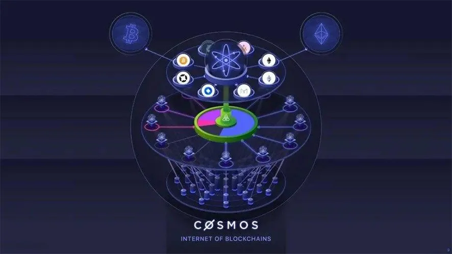 cosmos.jpg