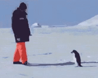 untitled.gif
