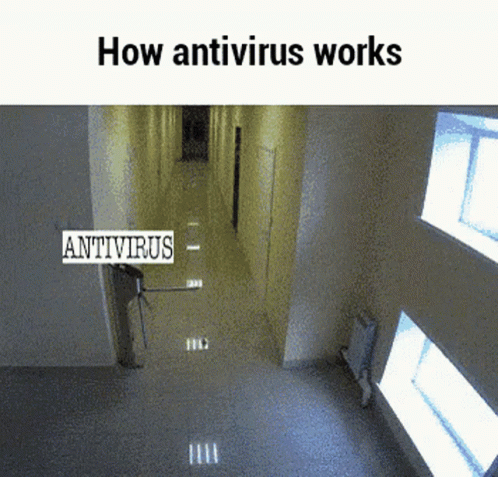 untitled.gif