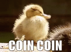 untitled.gif