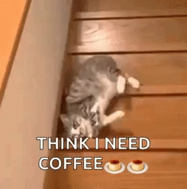 untitled.gif