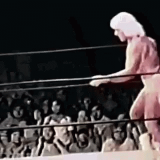 untitled.gif