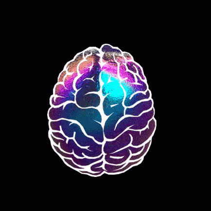 untitled.gif