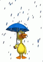 untitled.gif
