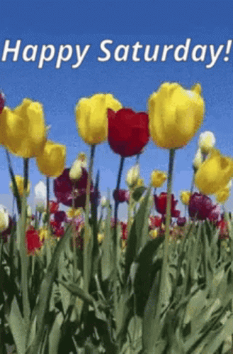 untitled.gif