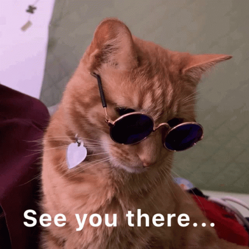 untitled.gif
