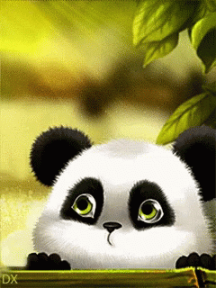 untitled.gif