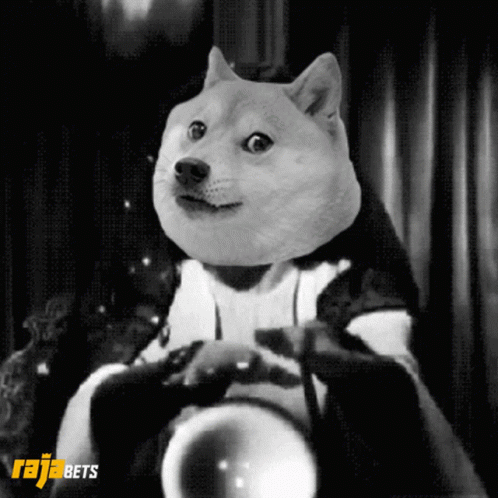 untitled.gif