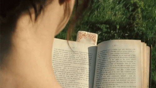 untitled.gif