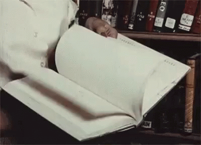 untitled.gif