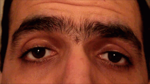 untitled.gif