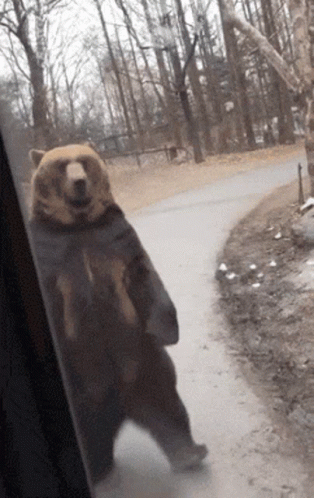 untitled.gif