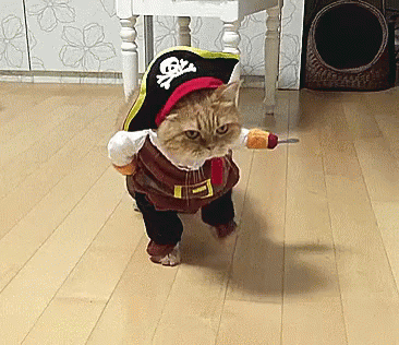untitled.gif