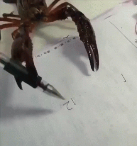 untitled.gif